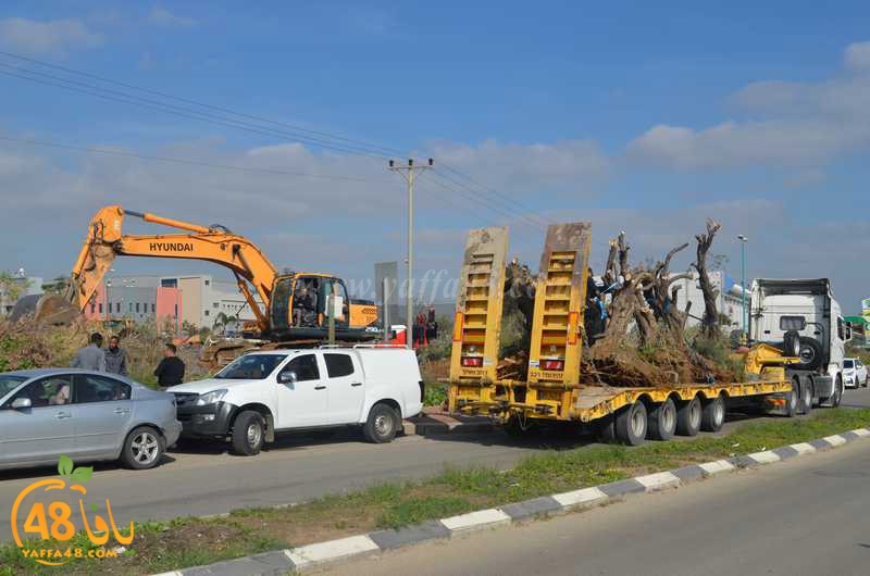 hadm ramla zatoen (37).JPG